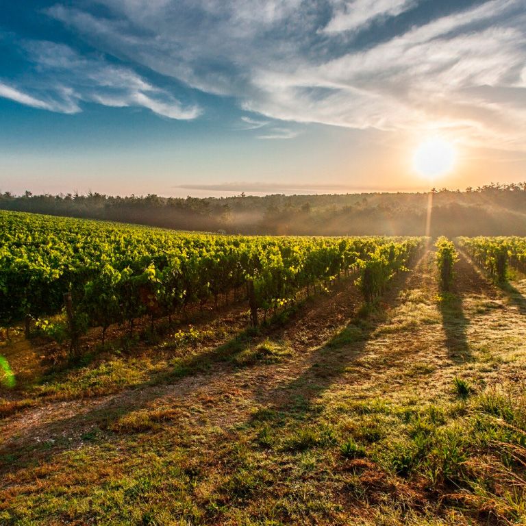 Producción agraria en La Rioja
